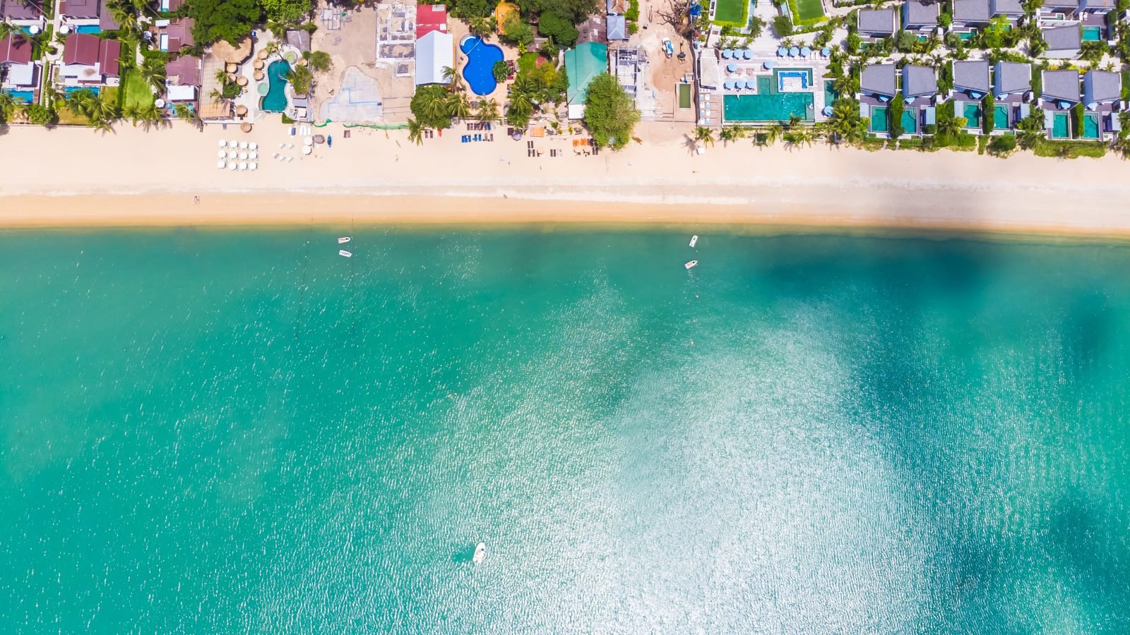 Nace Nuevo Vallarta Real Estate: una revista y un directorio para la bahía