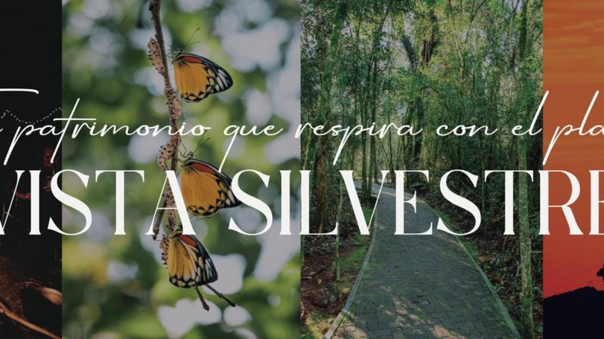 Vista Silvestre